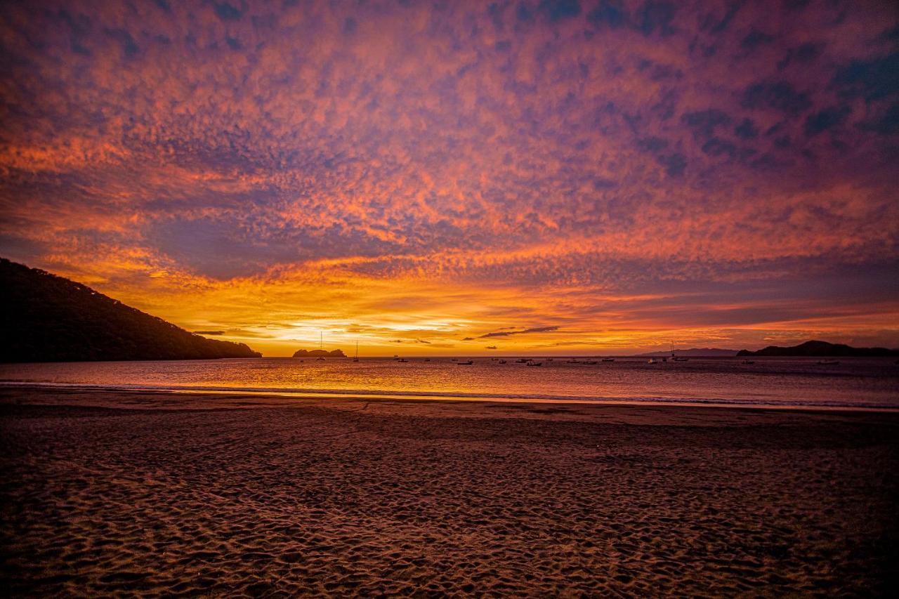 Hotel Bosque Del Mar Playa Hermosa Playa Hermosa  Zewnętrze zdjęcie